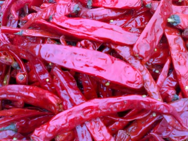 El precio bajo secó recientemente la pimienta de chile roja de Xian