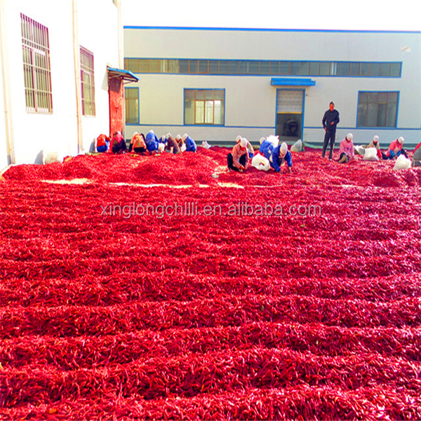 Polvo de chile rojo secado de la paprika del precio de fábrica en diversa especificación de ASTA