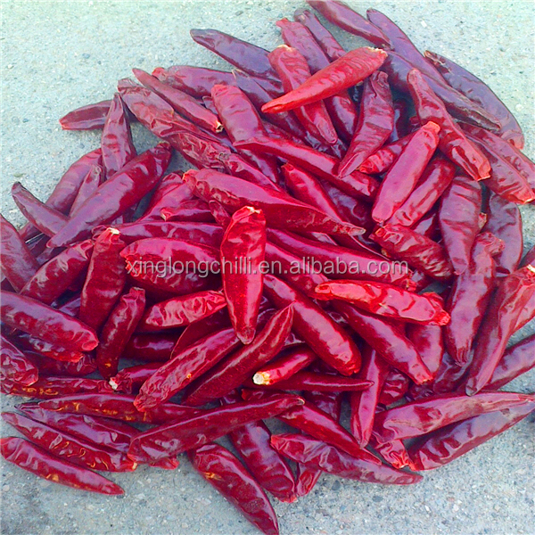 Especificación del chile rojo picante de Tianjin de la venta caliente