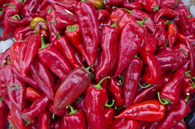 La producción de la fábrica de Neihuang deshidrató los chiles dulces rojos de la paprika