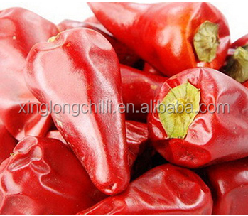 Chiles de la pimienta roja de la bala de Sichuan del precio de fábrica