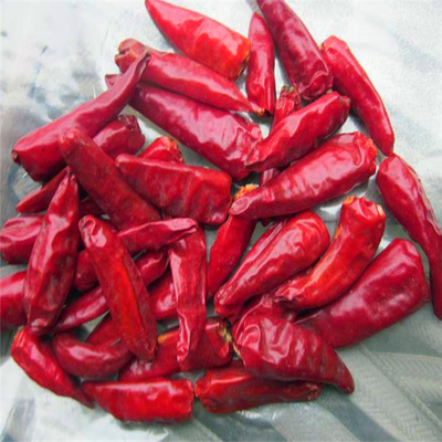 Alrededor de los chiles rojos HACCP anhidro de la bala de la humedad del 12% con rey Small Size del sombrero