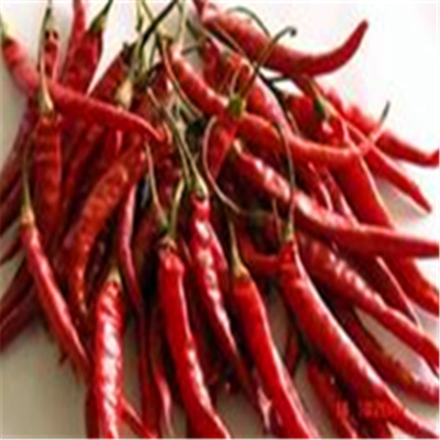 Pimientos rojos secos enteros con ingredientes sin tallo añaden un poco de especias a sus comidas
