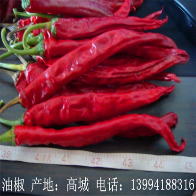 8000-12000shu Pimienta Erjingtiao caliente con almacenamiento en lugar seco