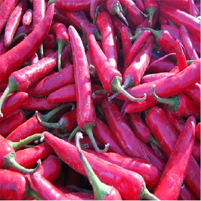 Pimientos rojos secos enteros con ingredientes sin tallo añaden un poco de especias a sus comidas