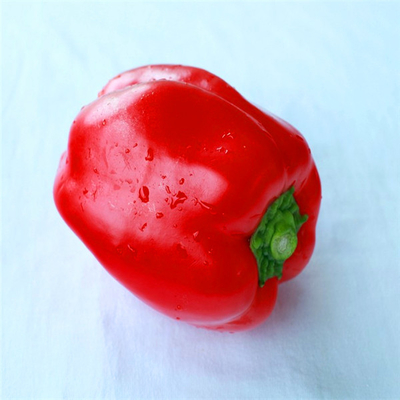220 ASTA Sweet Paprika Pepper Non no irradiaron sin semillas NINGÚN pigmento
