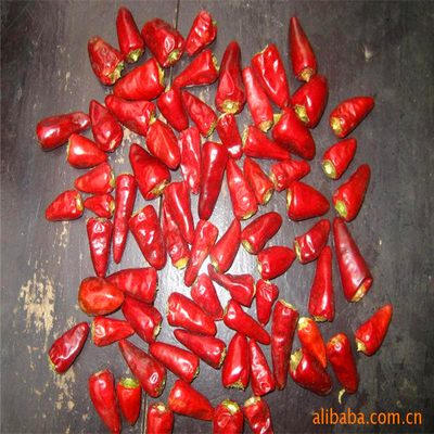 Chilli rojo en color rojo oscuro hierbas únicas especias