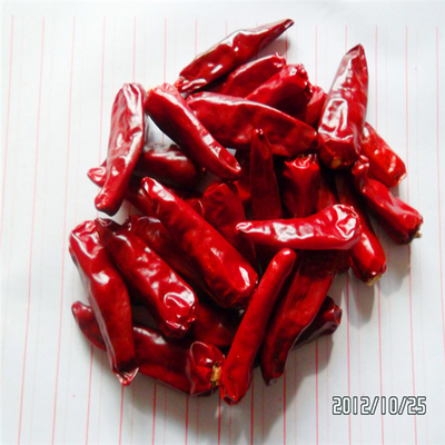 Hierbas únicas de color rojo oscuro Chilli perfecto aspecto Eficiencia
