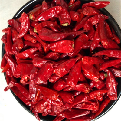 Hierbas únicas de color rojo oscuro Chilli perfecto aspecto Eficiencia