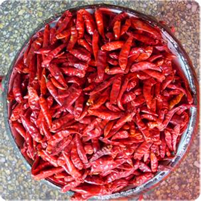 Hierbas únicas de color rojo oscuro Chilli perfecto aspecto Eficiencia