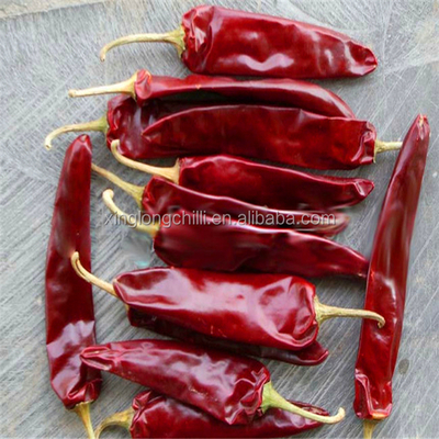 10 - 20cm Red Jinta Chilli 8000-12000SHU para marinar y cocinar