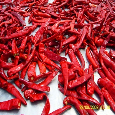 La textura polvorienta secó el sabor rojo de Paprika Peppers Smoky And Sweet de los chiles