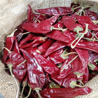 HACCP 200g Yidu Chili Ingredientes 7 - 15cm sabor a chile picante