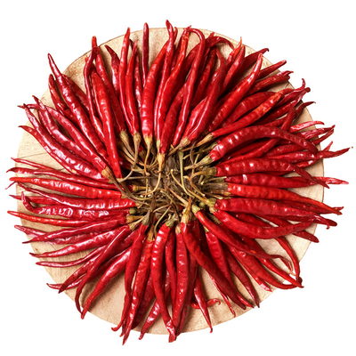Chilli de ojo de pájaro seco rico en calcio para creaciones culinarias audaces y picantes