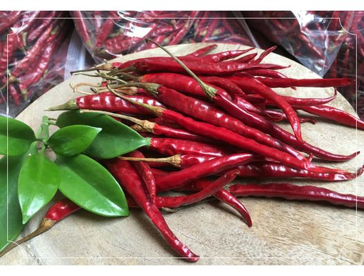 Chilli de ojo de pájaro seco rico en calcio para creaciones culinarias audaces y picantes
