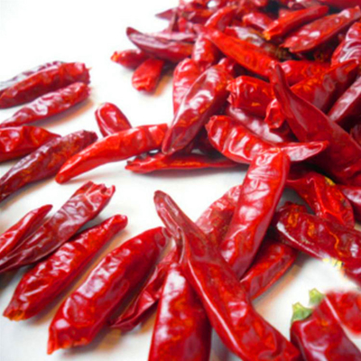 Xinglong 100 g de chiles rojos secos picantes de Tianjin a temperatura ambiente