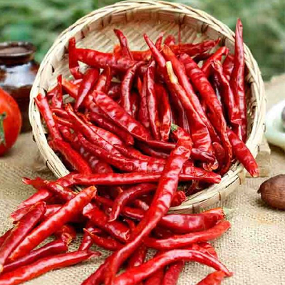 7-19 cm de largo Chilis deshidratantes con embalaje sellado al vacío