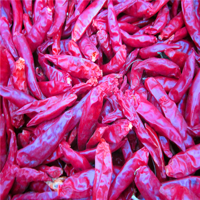 4-7cm Cayenne Pimientos de chile rojo secos Condiciones de almacenamiento Lugar fresco y seco