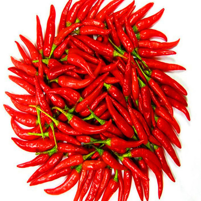 Pimientos de chile rojo secos al sol con humedad garantizada de 14% máximo