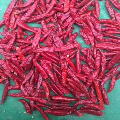 1.5cm Premium Red Chilli Ring Package 1-20KG/CTN Semillas 0-35%