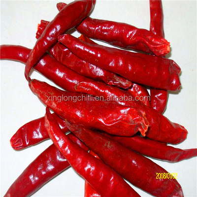 Chilli rojo picante crujiente seco Xinglong sin tallo