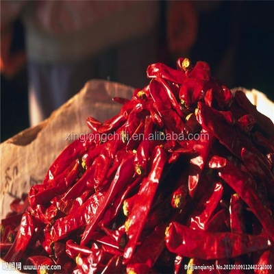 7-15 cm de chile rojo Yidu con sabores distintivos con un peso neto de 200 gramos