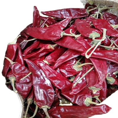 10 - 15 cm Chilli de guajillo seco 50BLS para guisos de agua en la boca