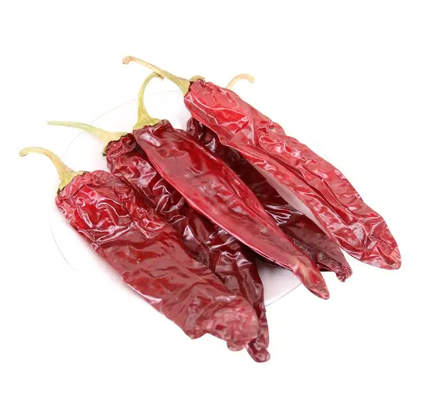 Forma de palo Cereza Rojo Guajillo Chilis Grado A 10-15 cm Tamaño