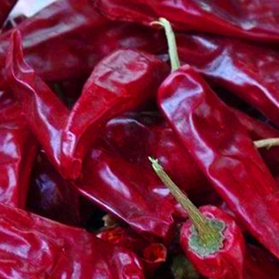 Pimientos de chile rojo secados en el aire para la cocina picante de Sichuan