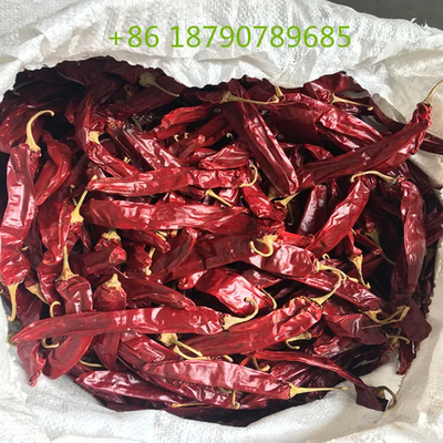 1% Impuridad Chiles secos naturales rojos suaves para los requisitos del cliente