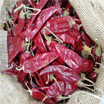 Humedad 8%-12% Chilli de guajillo seco de grado A con impureza de 0,1% máximo