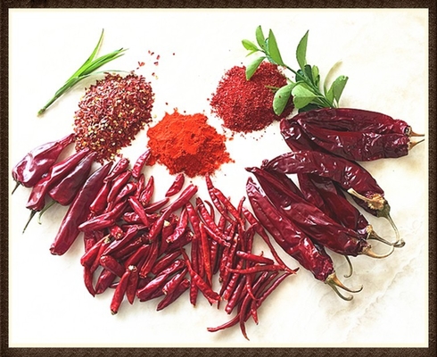 Humedad 8%-12% Chilli Guuajillo seco Rojo entero / palo