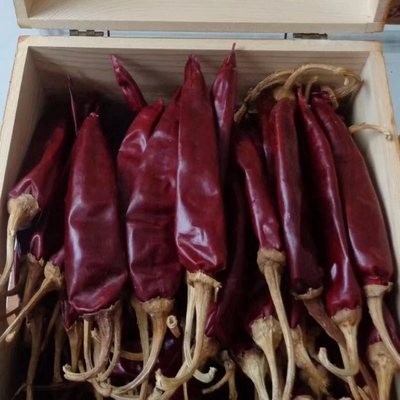 Pimientos de cayena secos sin tallo o cortados 12% Humedad máxima