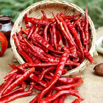 Especias de pimentón rojo y pólvora para su experiencia gastronómica