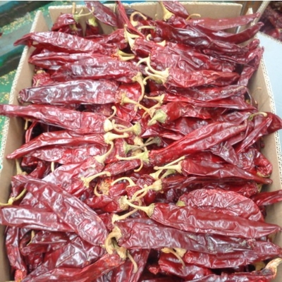 Con alto contenido de vitaminas A y C, pimientos de pimienta seca, pimienta dulce, sabor a especias y condimento en polvo