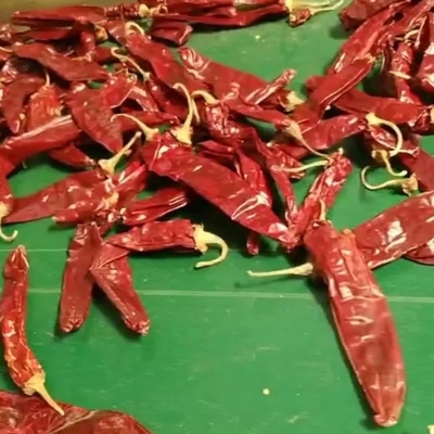 Solo hierba y especias en pimientos de pimientos secos para sus necesidades comerciales