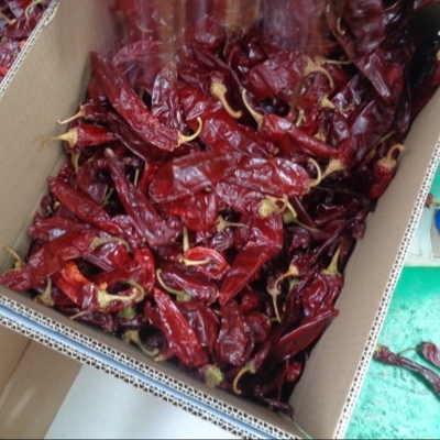 Ingredientes Paprika Pimienta Chilli Capsicum Xinjiang Chilli grado de picor 500SHU