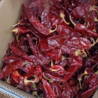 Las vainas secas de pimentón rojo para su negocio de ingredientes alimenticios