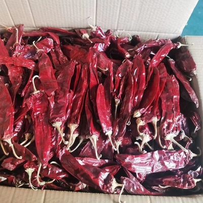 1000 cfu/g Paprika Pods para su negocio de ingredientes alimenticios