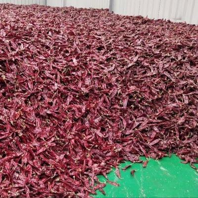 1000 cfu/g Paprika Pods para su negocio de ingredientes alimenticios