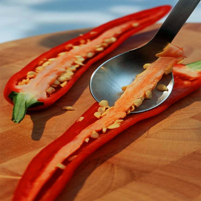 Polvo de pimienta picante para las necesidades culinarias