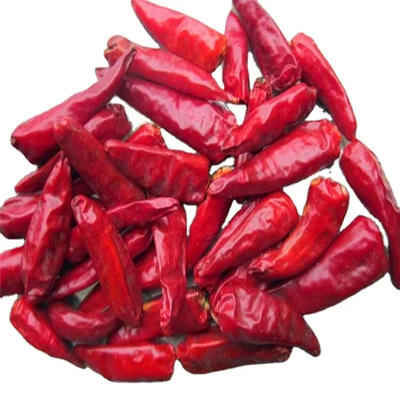2% Máxima tasa de rotura Chilli de bala roja seca en el aire con muestra y carga recogida