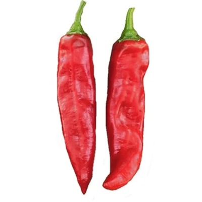 Pimienta en polvo con sabor a pimienta dulce y 12 a 16% de humedad
