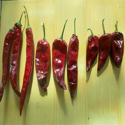 Agrega un golpe a tus platos con pimientos picantes secos Ingredientes esenciales de chile