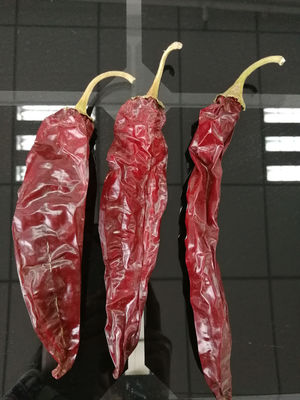 XingLong secó a Paprika Peppers que el 16CM deshidrataron a Chili Pods rojo