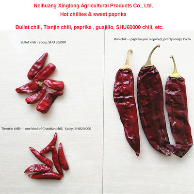 1 año de vida útil Paprika dulce Pimienta seca Chilli rojo Aditivo para ingredientes alimenticios de alta calidad