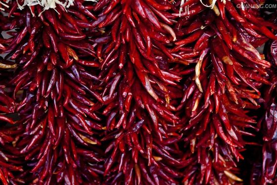 La barbacoa roja deliciosa de los chiles de Tianjin secó Chile De Arbol Peppers