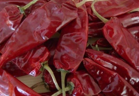 Chile secado de aderezo 180 ASTA Red Hot Chili Peppers de Guajillo