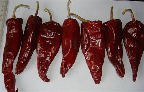 Los chiles rojos secos Xinglong entero 10KG del 12CM secaron al asiático Chili Peppers