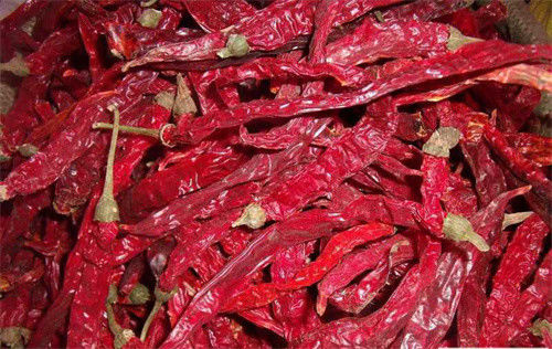 Erjingtiao dulce secó la pimienta de Erjingtiao de la humedad de Chilis el 12% con el tronco